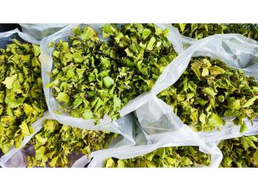 🧹 Березовый веник для бани: польза, аромат и лечебный массаж 🌿, изображение 36